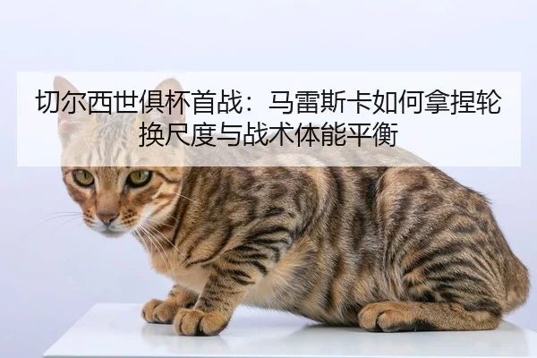 qie-er-xi-shi-ju-bei-shou-zhan-ma-lei-si-ka-ru-he-na-nie-lun-huan-chi-du-yu-zhan-shu-ti-neng-ping-heng-2-582.jpg