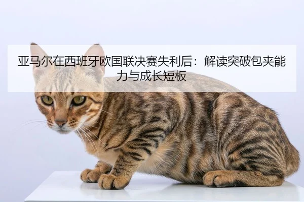 亚马尔在西班牙欧国联决赛失利后：解读突破包夹能力与成长短板